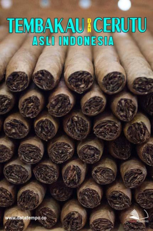 Tembakau dan Cerutu Asli Indonesia