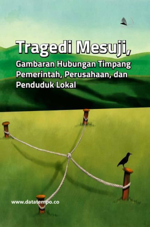 Tragedi Mesuji, Gambaran Hubungan Timpang Pemerintah, Perusahaan, dan Penduduk Lokal