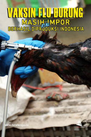 Vaksin Flu Burung Masih Impor Atau Berhasil Diproduksi Indonesia