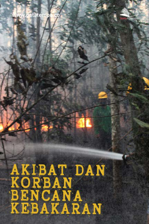Akibat dan Korban Bencana Kebakaran