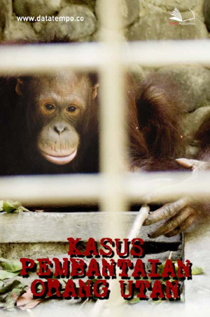 Kasus Pembantaian Orang Utan