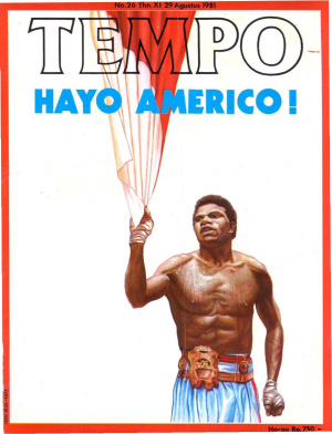 Hayo Americo!