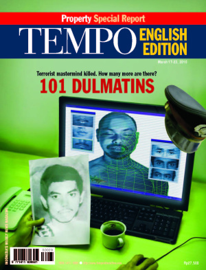 101 Dulmatins