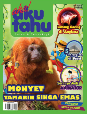 Monyet Tamarin Singa Emas