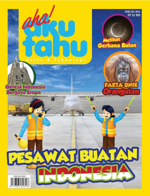 Pesawat Buatan Indonesia