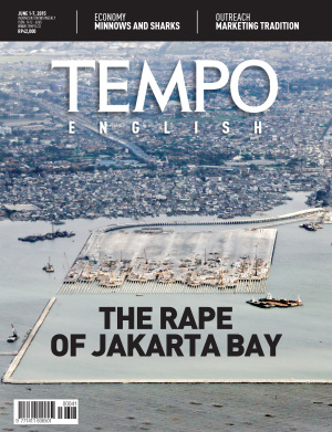 The Rape of Jakarta Bay