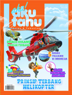 Prinsip Terbang Helikopter