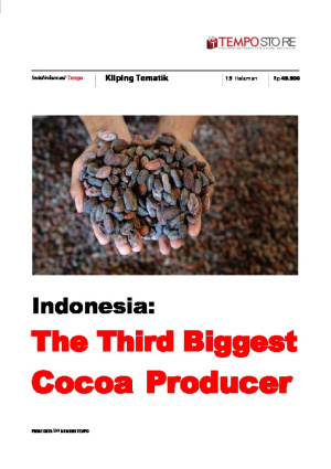 Indonesia: The Third Biggest Cocoa Producer