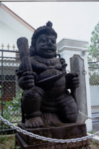 Image placeholder