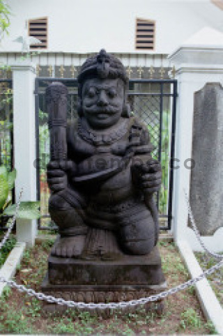 Image placeholder