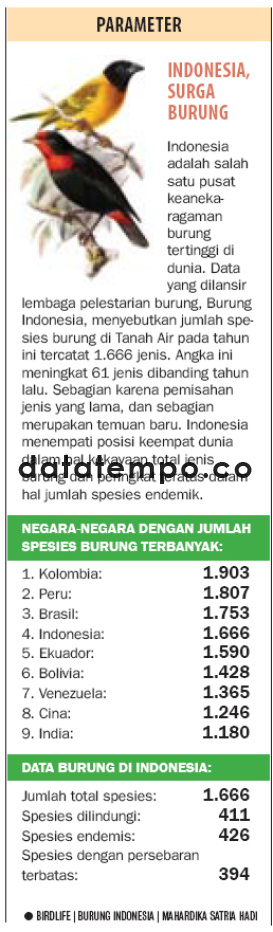 Indonesia Surga Burung.