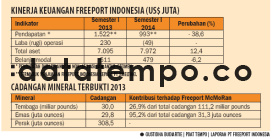 Kinerja Keuangan Freeport Indonesia.
