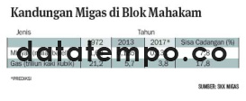 Kandungan Migas di Blok Mahakam.