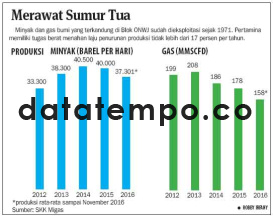 Merawat Sumur Tua.