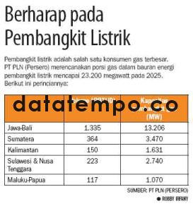 Berharap pada Pembangkit Listrik.