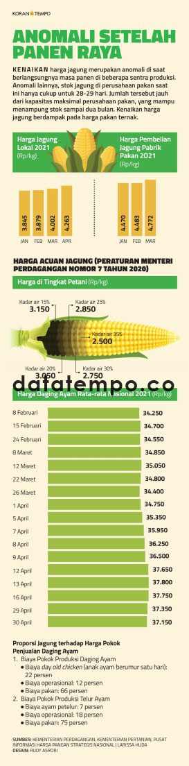 Harga Jagung  dan Daging Ayam